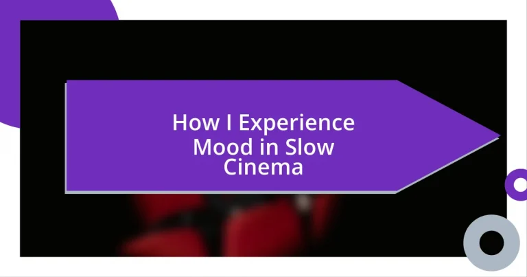 How I Experience Mood in Slow Cinema